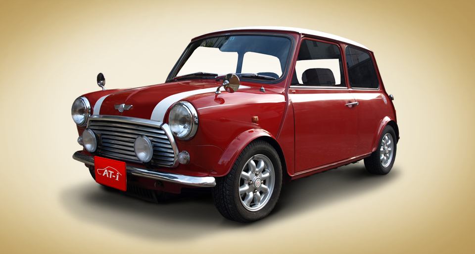 ROVER MINI